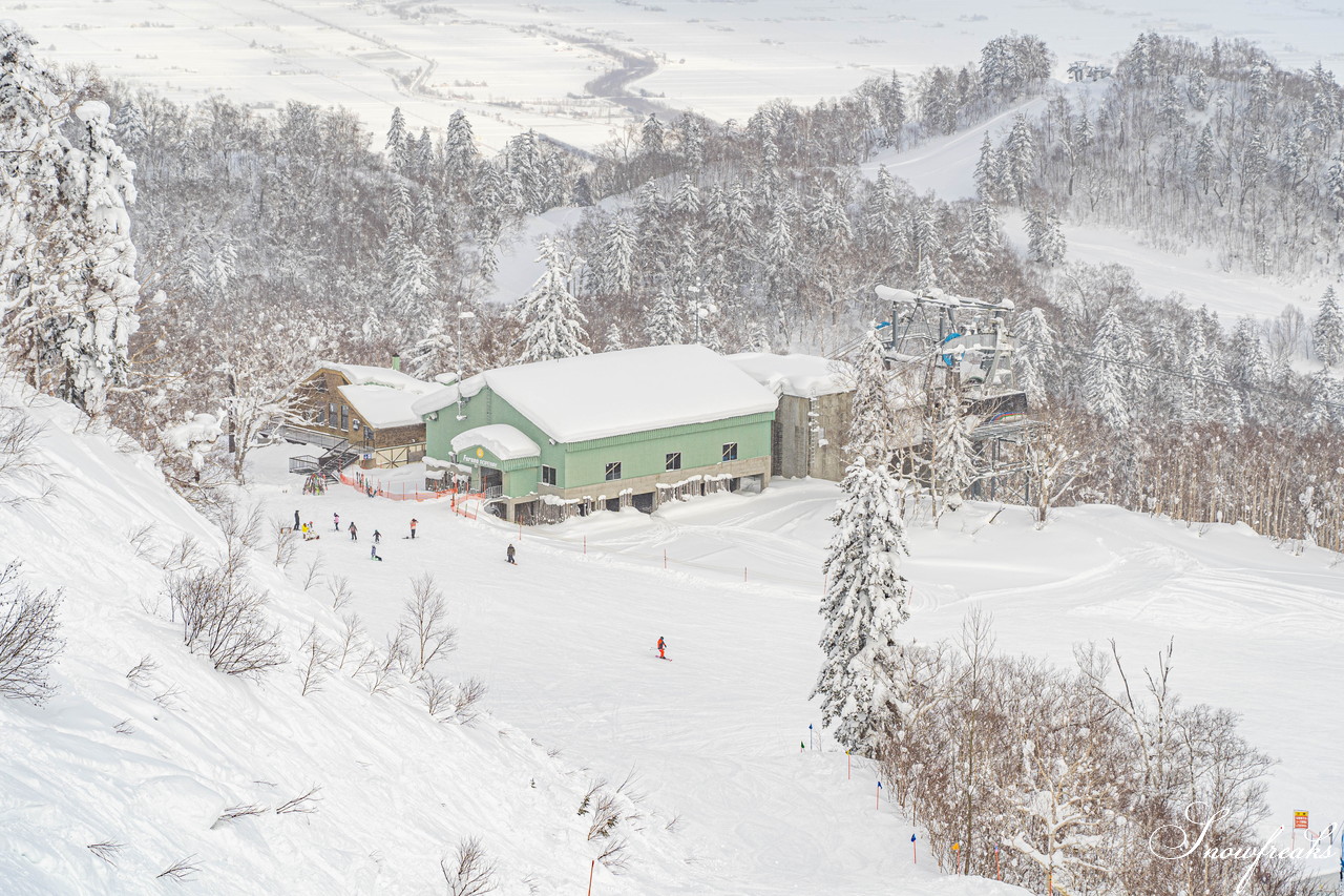 富良野スキー場　気温 -14℃。ダイヤモンドダストが煌めく、国内屈指のリゾートゲレンデを堪能♪